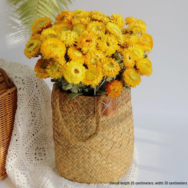 Daisy Dried Flower Bouquet for Living Room and Bedroom Décor - Natural Yunnan Flowers for Display or Photo Props