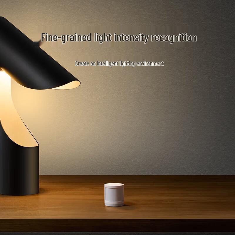Xiaomi Mijia Human Body Sensor 2S