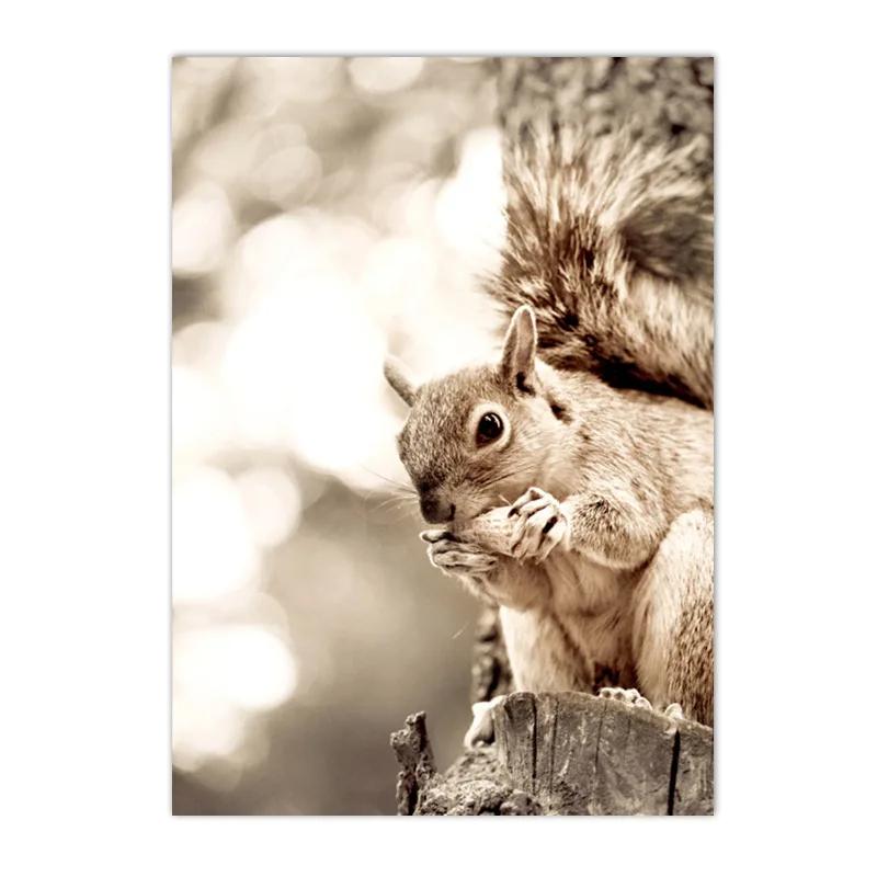 Beige Gras Blume Reed Leinwand Malerei Herbst Landschaft Eichhörnchen Schafe Wand Kunst Drucke Nordic Poster Bild Wohnzimmer Dekor