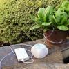 WiFi Smart Garden Irrigation Controller Plant Automatic Drip Irrigation System Remote Phone Control Watering Timer Device Set