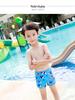 Summer Boys' Cartoon Swim Trunks with Swim Cap for Kids & Teens
