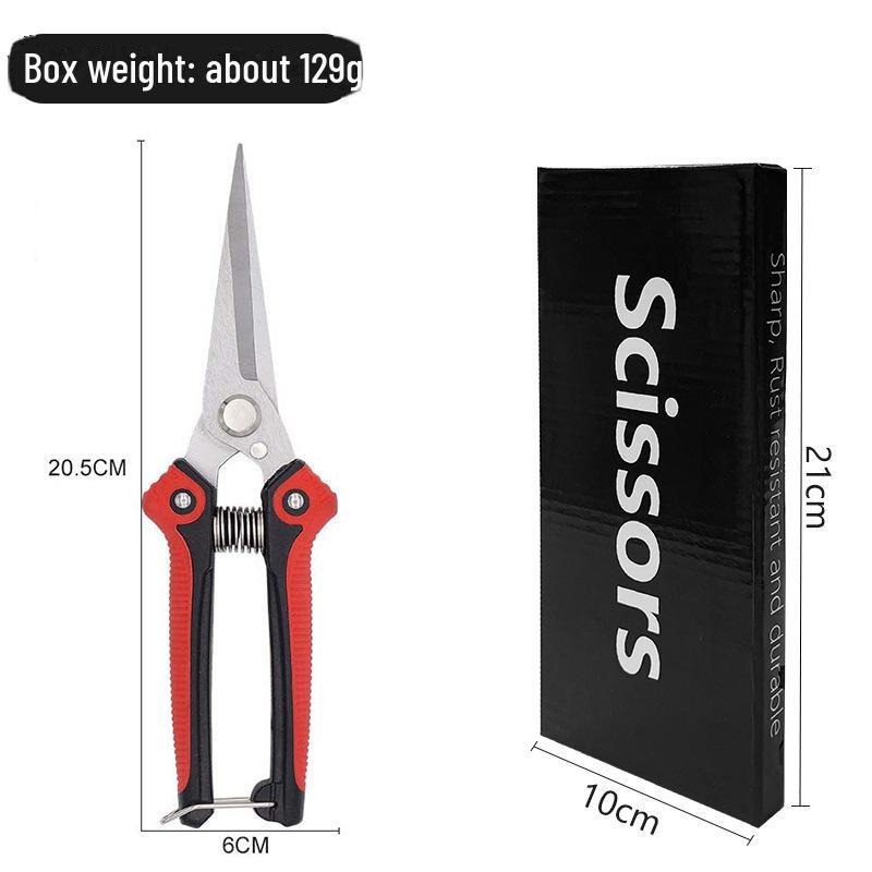 Stainless Steel Pointed Pruning Scissors for Fruit, Branches, and Vegetables