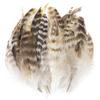 50/100Pcs Natural Pheasant Feathers Diy Crafts Jewelry Accessory Decoration Rooster Plumes High Quality