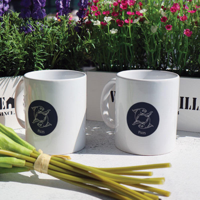 cb616-Design Mug 2p-Pisces
