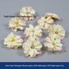 Champagne Silk Imitation Flowers for Hairpins, Hanfu Headdresses, Souvenirs, and Performance Accessories.