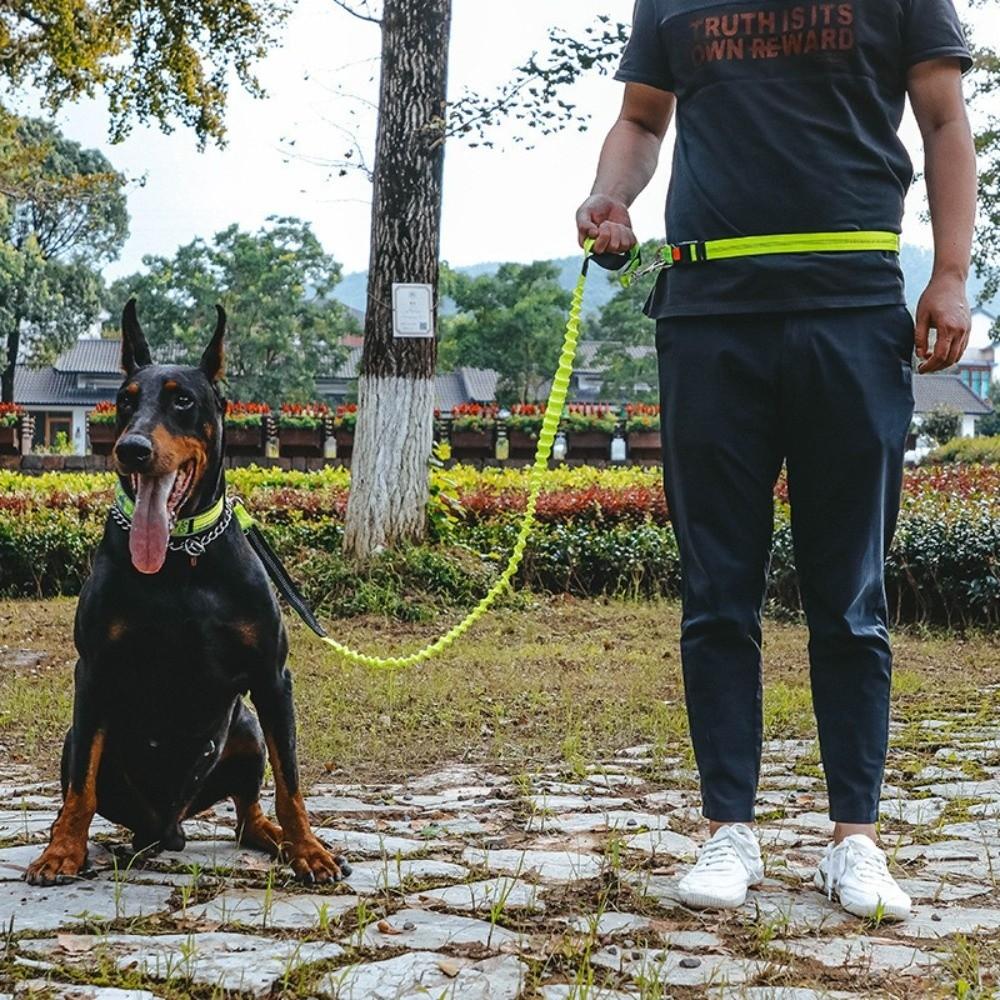Double Stretch Running Dog Leash Reflective Dog Traction Rope Pet Walking Leash  for Dogs Cats