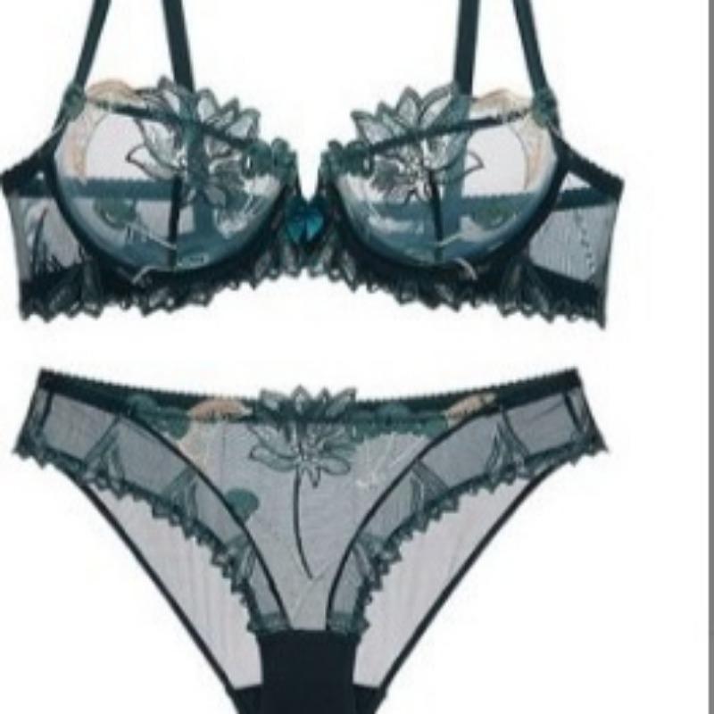 European and American Sexy Lingerie Transparent Mesh Embroidered Bra Set