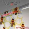 2pcs, 2D FLAT PRINTING Curtains (Without Rod) BeeHivePattern Popular Minimalist Curtains Polyester Easy Install Curtains