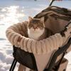 Hundebuggy Kissen Waschbare Plüsch Warme Decke Magnetverschluss Buggy Kissen für Hunde für Outdoor Indoor Reise Katzen Welpen