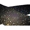 Sexy Rhinestone Long Sock Women Long Sock Thigh High Over The Knee Stockings Sexy Lolita Ladies Girls Warm Knee Socks Summer