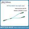 Mellanox 400G 1-to-2 Splitter Cable