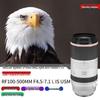 Canon RF100-500mm F4.5-7.1 L IS USM Super Telephoto Zoom Lens