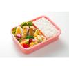 Skater Dishwasher Safe Storage Container 550ml Miffy Monotone Made in Japan PM4CA-A