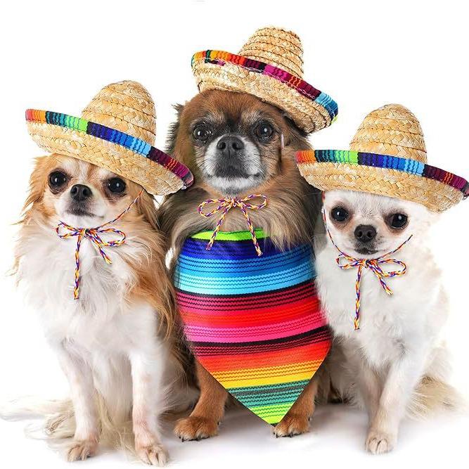 Mexican Dog Hat & Striped Scarf Set - Straw Hat & Bandana Combo