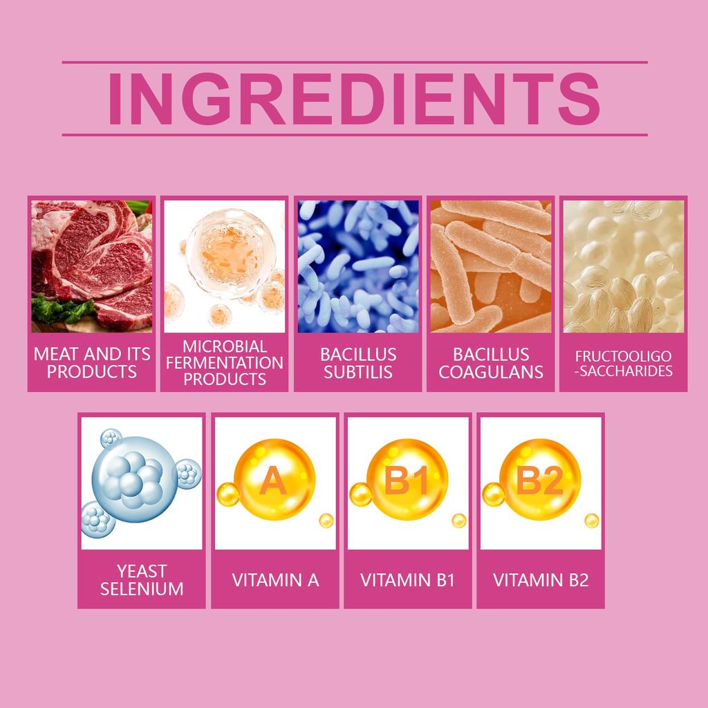 Dog Probiotic Tablets Improve Intestinal Health And Promote Digestion And Absorption Of Pet Nutritional Supplements