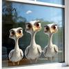 Stereoscopic Animal Wall Art Cute Ostrich Static Window Clings, 3D Break Through Decals, No Easy to Apply Graphics Glue PVC Stickers for Kids Bedroom