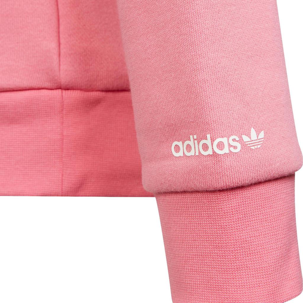 Adidas Originals Sweatshirt ADICOLOR Kids' H32396