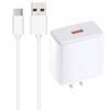 65W Power Adapter 2Pin Flat Quick Charging Head with USB 5Pin/Type C Fast Charging Cord Data Cable Wire
