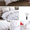 Winter White Goose Down Duvet Thickened Warmth Double Quilt Single Dormitory Quilt Large Soft and Comfortable Duvet