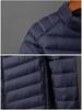 2025 Men's Stand-Collar Down Cotton Jacket: Short, Loose-Fit, Winter Fashion, Casual, Windproof & Warm