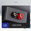 SAST Wall-Mounted Commercial Background Music Speaker CN plug (adapter included)