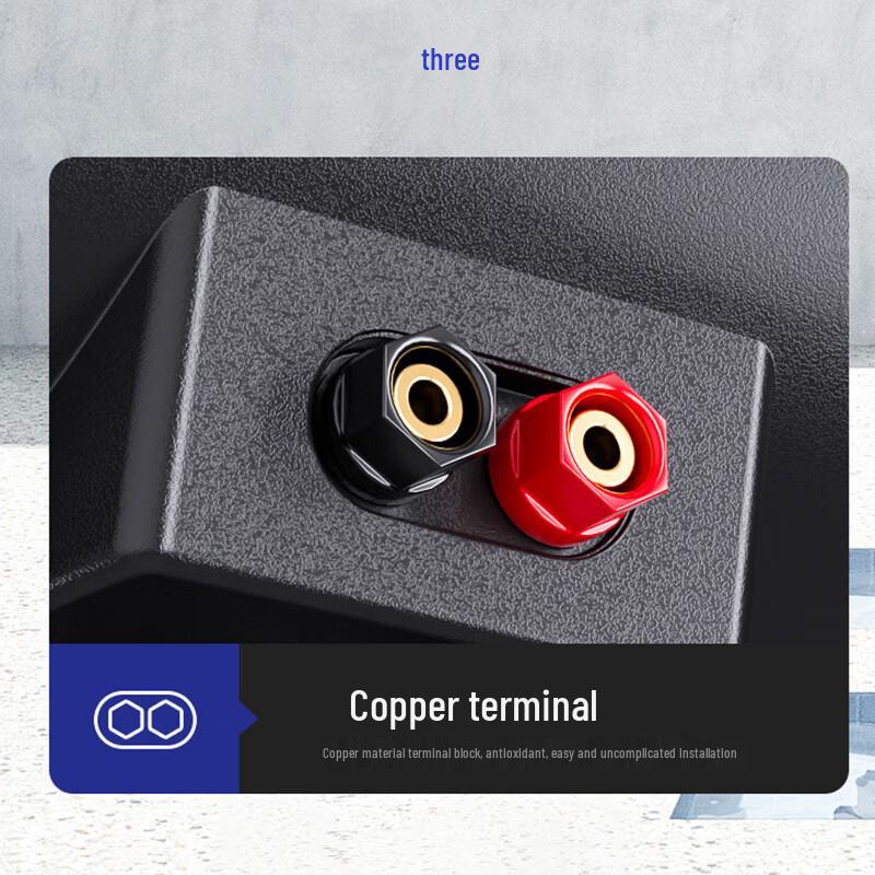 SAST Wall-Mounted Commercial Background Music Speaker CN plug (adapter included)