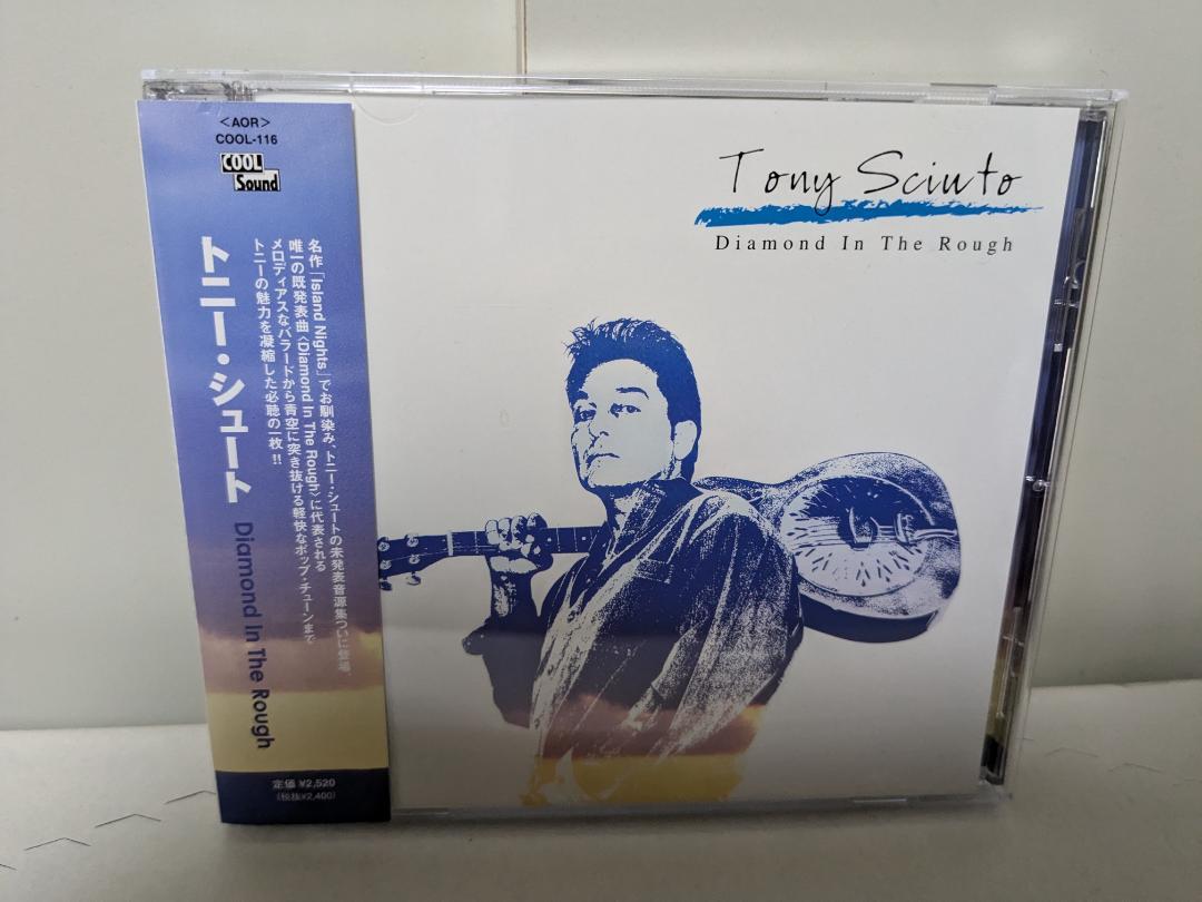 

[USED] Tony Shoot Diamond In The Rough