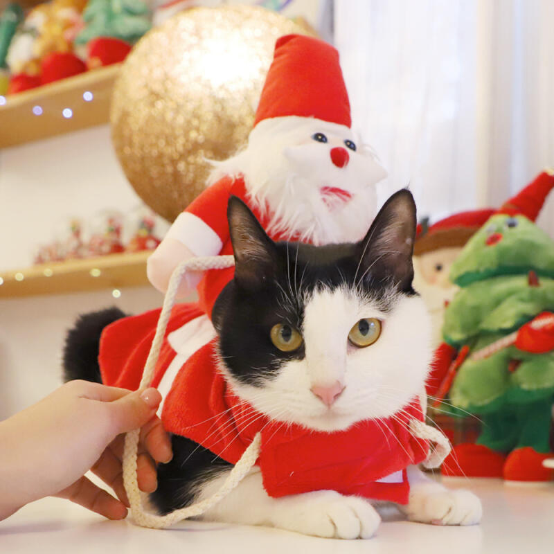 Fantasia de Animal de Estimação Papai Noel Cavaleiro (Cachorro pequeno)