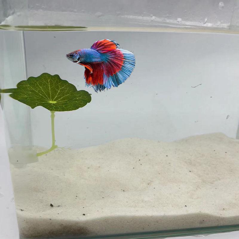 Betta Fish Tank Decoration: Artificial Aquatic Plants & Resting Leaf Simulation for Aquarium Landscape