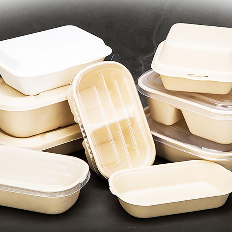 Disposable Pulp Food Container with Lid