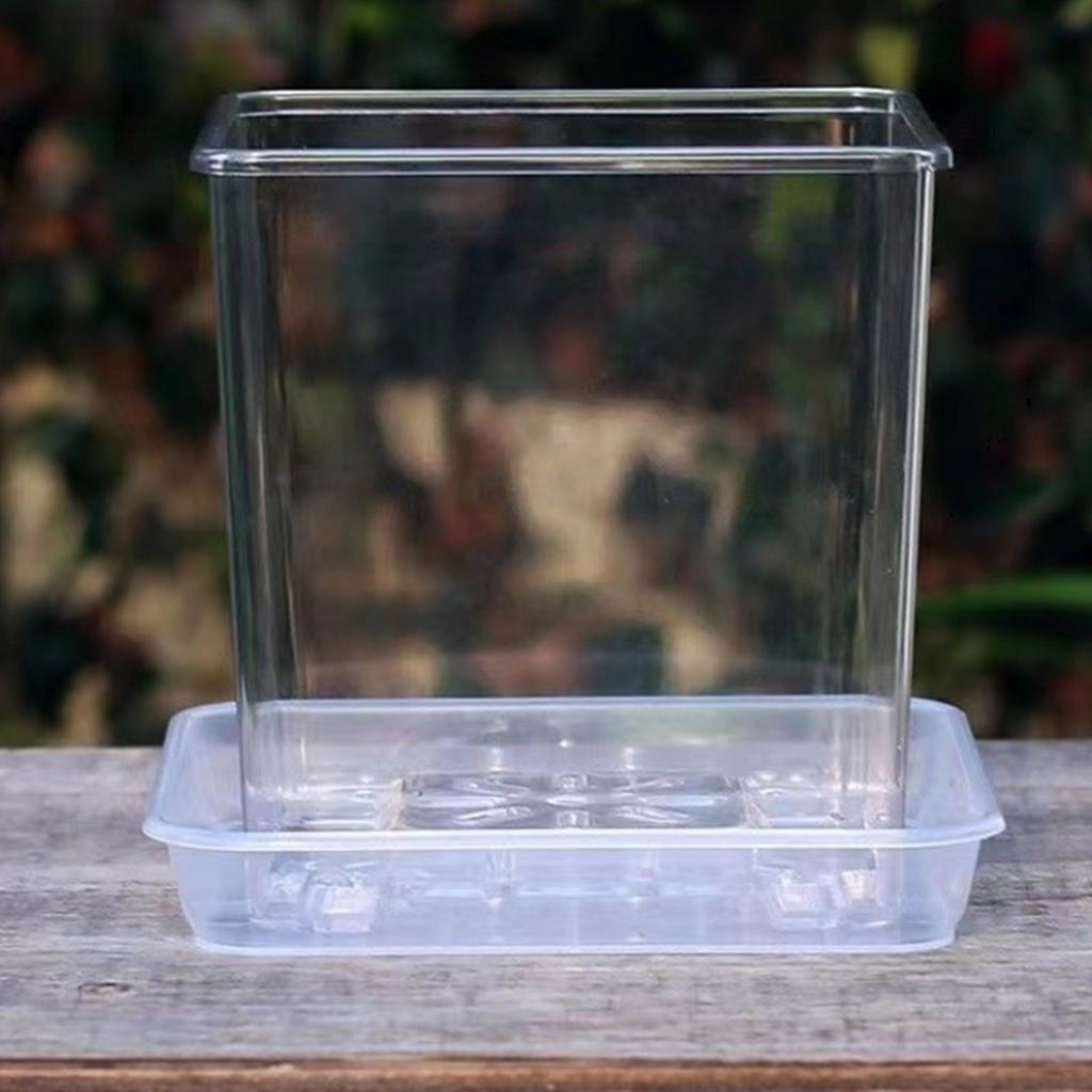 Clear Breathable Plant Container Desktop Ornament Planter Plant Pot Crafts Decors Planter Landscape Crafts