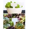 200pcs Plant Plastic Labels Garden Supplies Nursery Seedling Markers DIY Garden Decorating Tools Flower Pot Name Tags