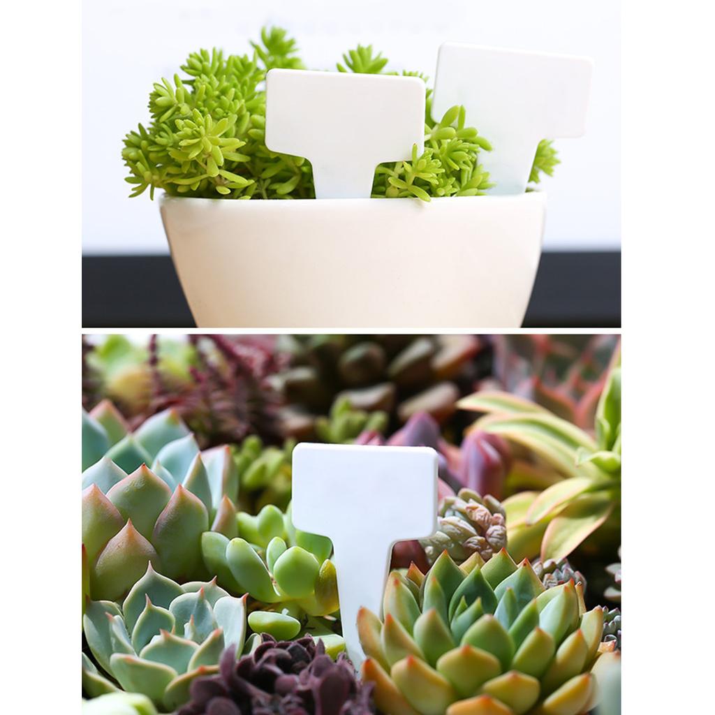 200pcs Plant Plastic Labels Garden Supplies Nursery Seedling Markers DIY Garden Decorating Tools Flower Pot Name Tags