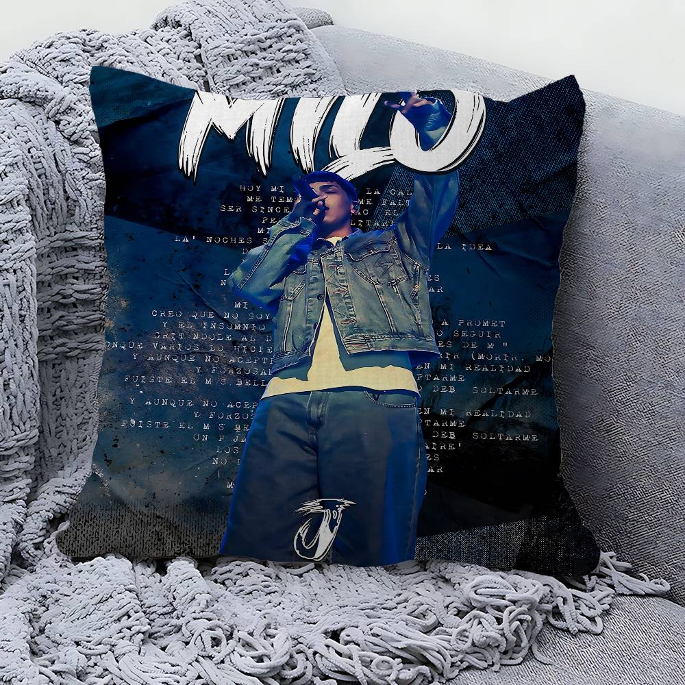 Singer M-Milo J Personalized Pillow Cover Kids Bedroom Wild Party Decor Pillowcase Kid Birthday Shower Gift
