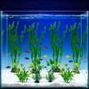 8pcs Vibrant Artificial Plants - Durable PE Aquascaping Set for Fish Tank Decor,  Aquatic Plants, Aquarium Decor