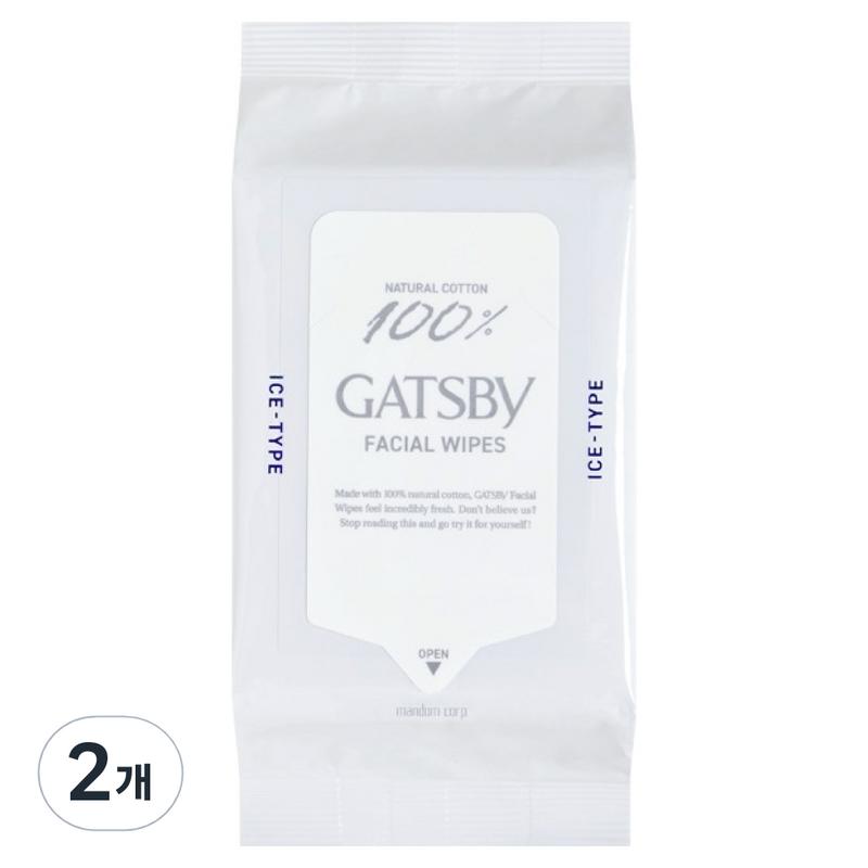 Gatsby Facial Cleansing Tissues Ice Type, 42 Sheets Pack, 42 Wipes, 2 Pcs