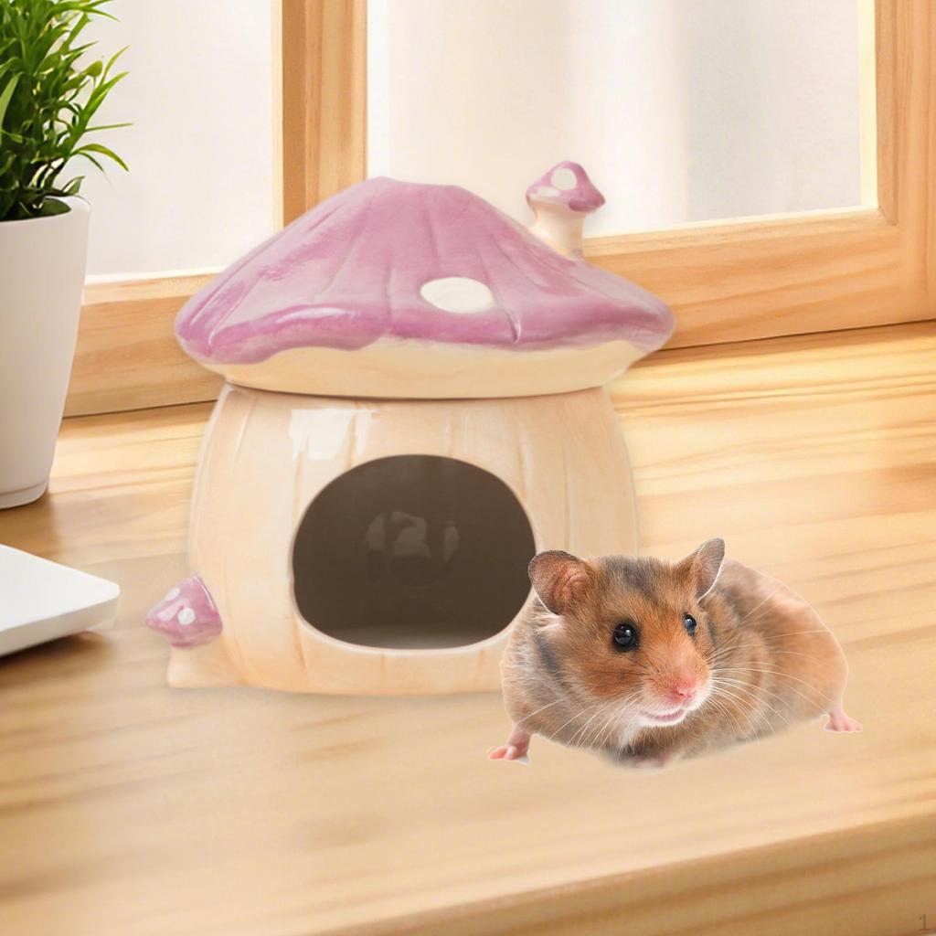 Ceramic Hamster House Cave Cute Indoor Nest Hideaway Habitat for Rats Squirrels