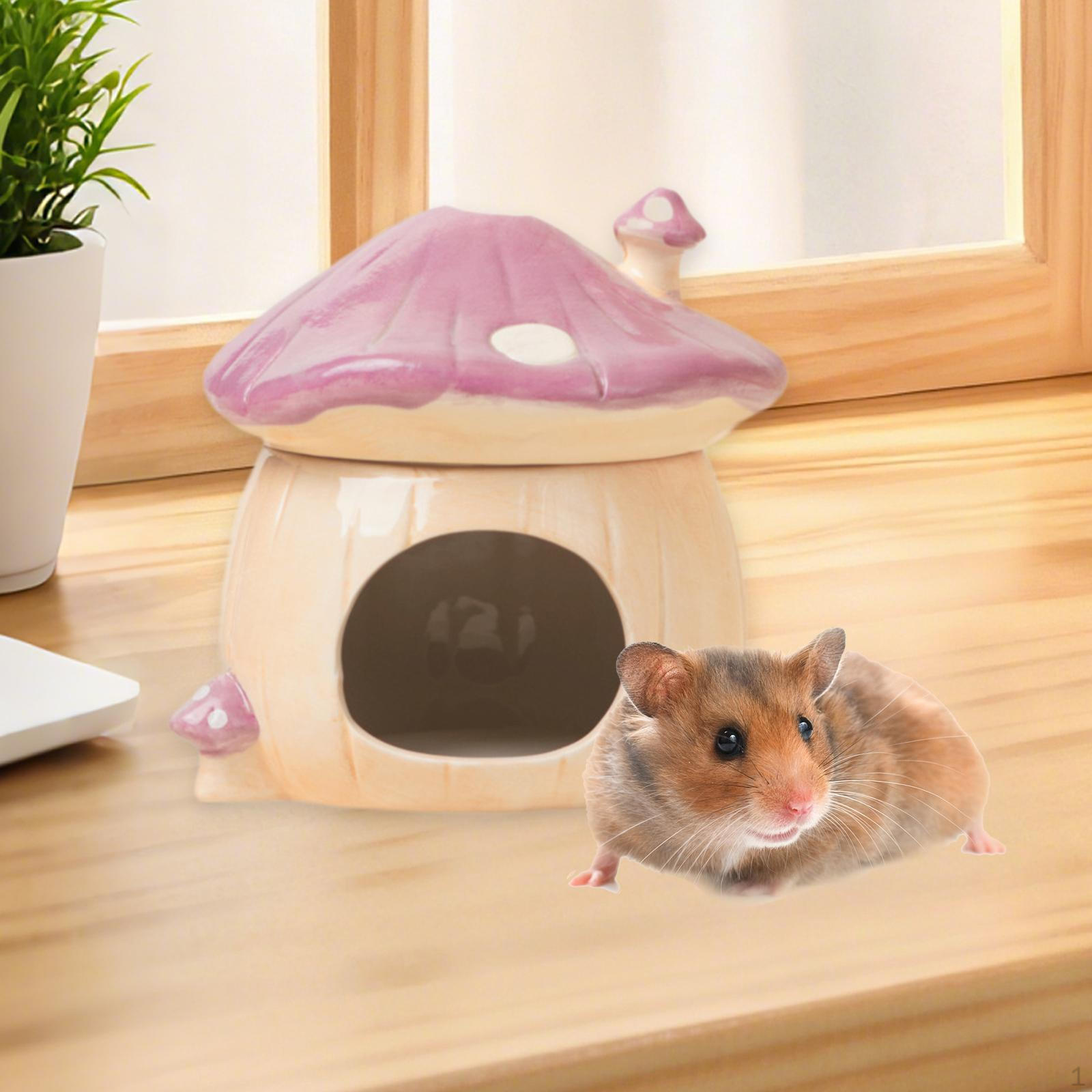 

Ceramic Hamster House Cave Cute Indoor Nest Hideaway Habitat for Rats Squirrels фиолетовый