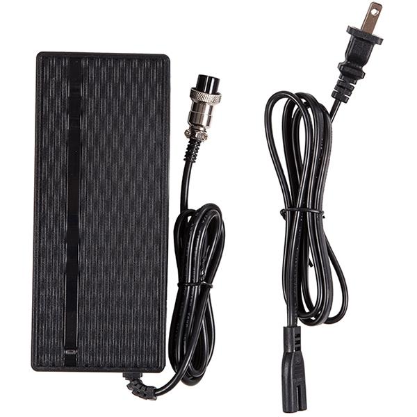 Buy Freego ES 10S 10 Inch Two Wheels Shockproof Folding Electric