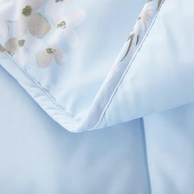 Mengjie Lanxizi Soft Summer Quilt