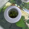 Growing Pots Floating Aquarium Planting Basket 3D Printed Coexistence Floating Pot  Fish Bowls