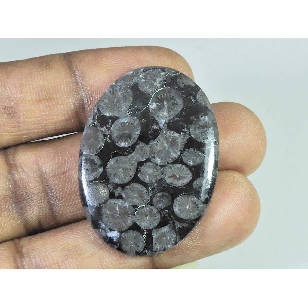 49Cts. Natural Black Fossil Coral Oval Cabochon Loose Gemstone 29X40X04 MM B-338