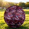 Pallone da Calcio Stampato Crystal Palace Taglia 5, Antiscivolo, Pallone da Partita per Adulti, Souvenir per i tifosi di Calcio