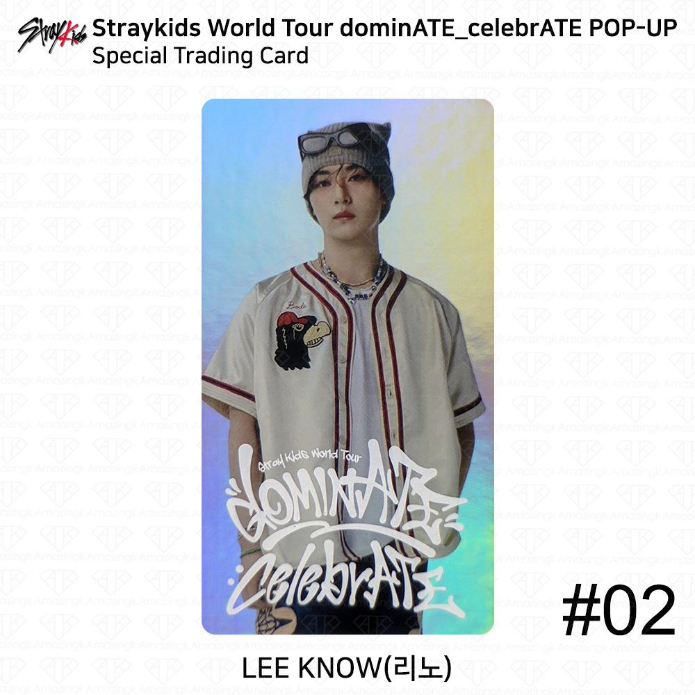 

Stray Kids Мировой тур DominATE CelebrATE POP-UP Специальная торговая карта KPOP K-POP Leeknow #2