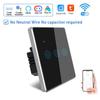 Graffiti EU Smart WiFi Touch Switch with Alexa Voice Control
