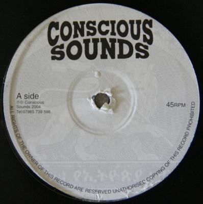 10inch Record KENNY KNOTS  THE BUSH CHEMISTS  Going Home  Good Sensi CS04 Conscious Sound 2004 UK Reggae Ska  Dub Used