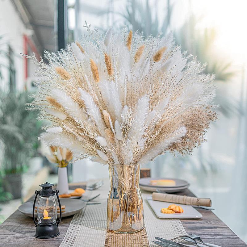 Yunnan Small Reed Dried Flower Bouquet Small Whisk Small Pupa Reed Grass Dried Reed Rabbit Tail Grass