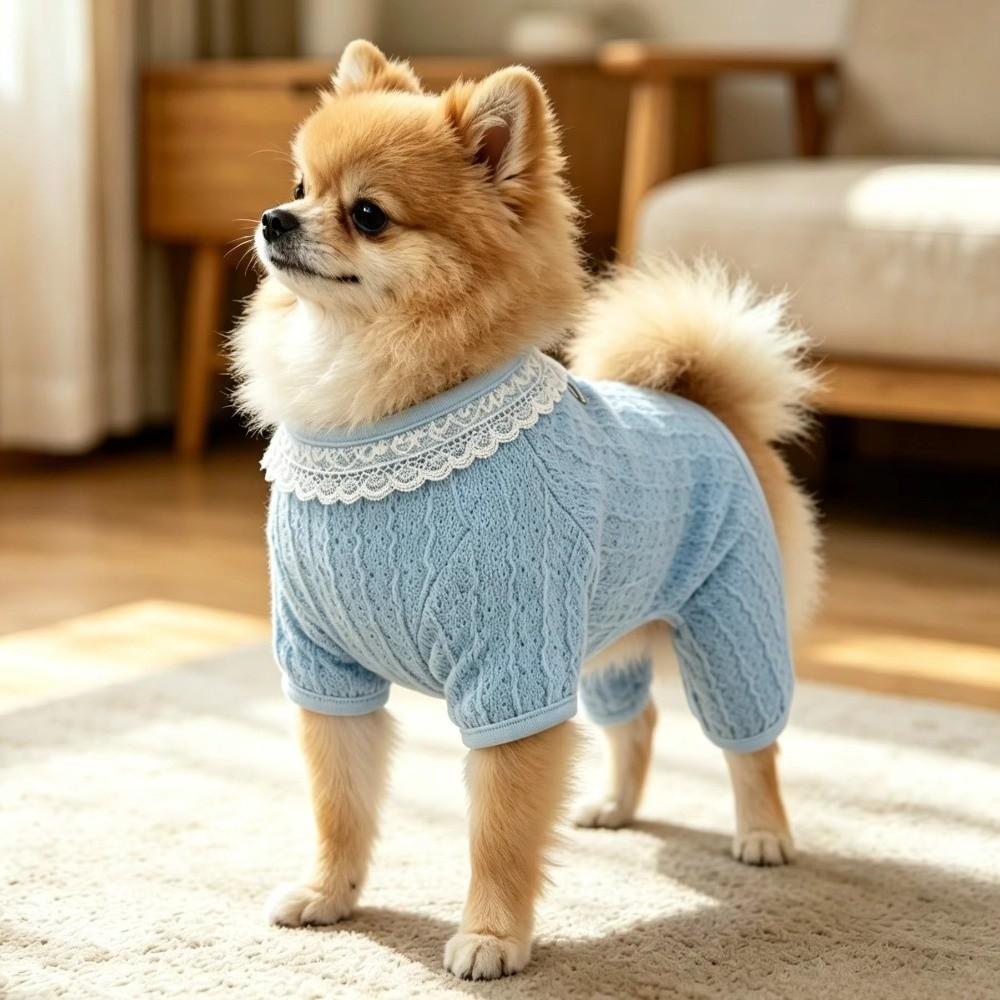 Thin Breathable Pet Sunscreen Costume Anti-Mosquito Four Legged Clothes Daily Wear