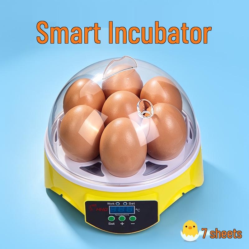 Smart Mini Egg Incubator for Parrots and Budgies: Automatic Pet Hatchery Equipment