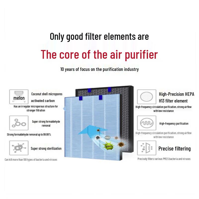 LEXY Air Purifier Replacement Filter CN plug (adapter included)